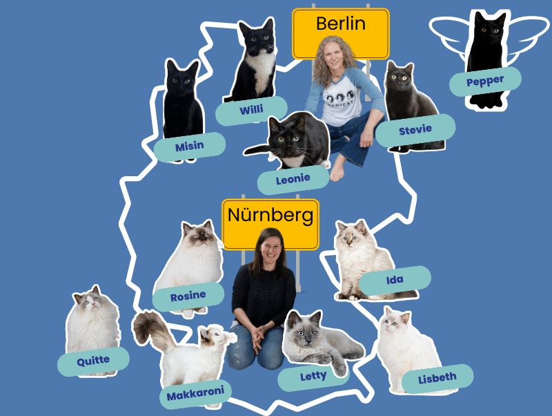 Über-uns-Teamgeist-Test